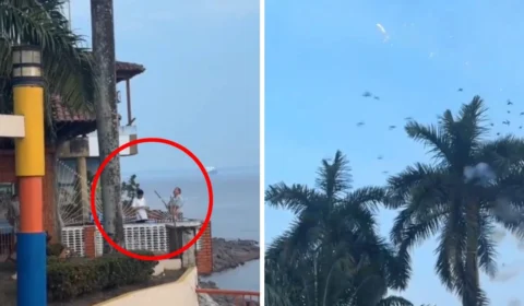 Homem que soltou fogos de artifícios em pássaros é multado em R$ 100 mil no AM