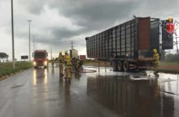 DF: carreta de transporte de animais pega fogo na BR 040