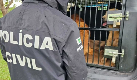 Maus tratos no DF: animais viviam sem água e se alimentavam com frutas podres