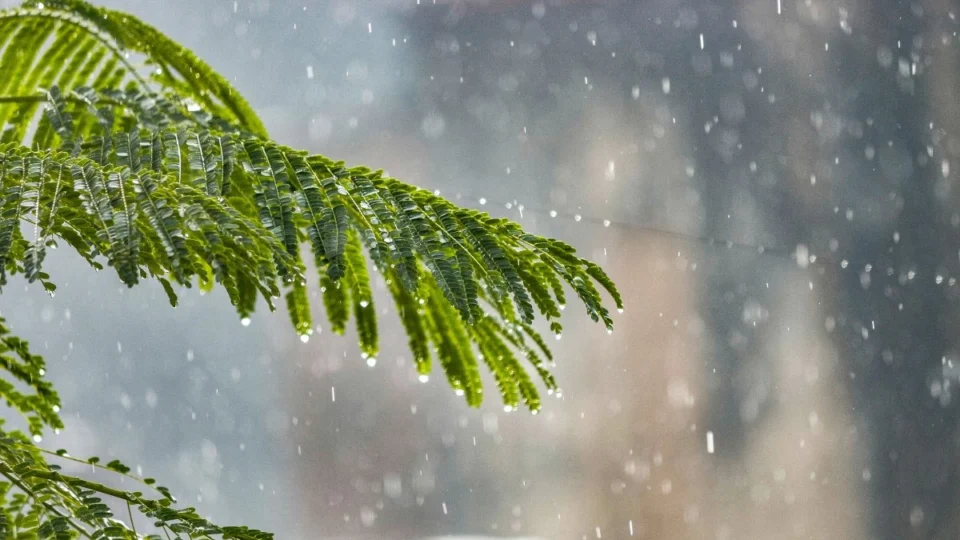 Previsão do tempo em Porto Velho hoje (29/10): confira o clima