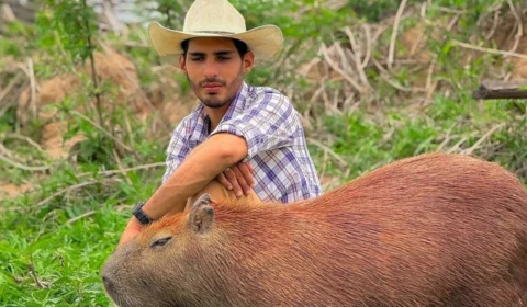 Quase matam a capivara Filó: influenciador do AM compartilha detalhes do que aconteceu