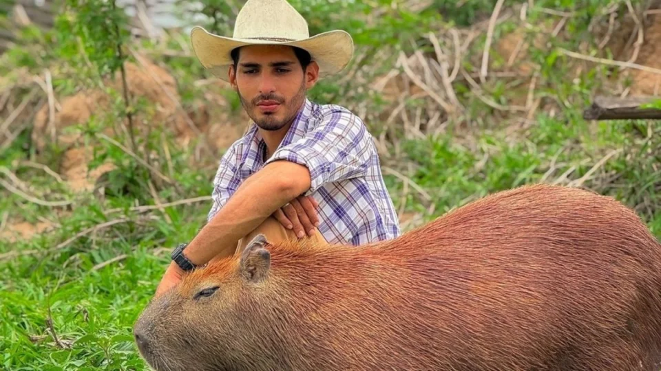 Quase matam a capivara Filó: influenciador do AM compartilha detalhes do que aconteceu