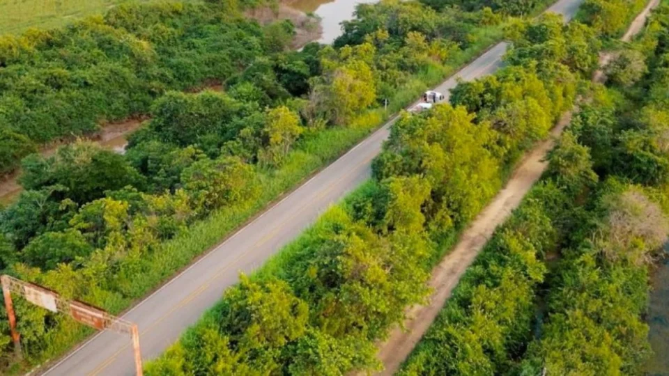 BR-174 será homenageada pela ALE-RR nesta quarta (30) em celebração à Roraima 