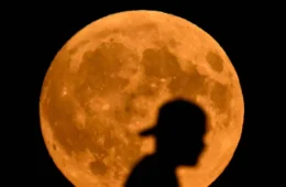 Novembro de 2024 contará com chuva de meteoros e Superlua: confira datas