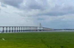 Seca histórica do rio Negro exibe campo com gramado e atrai curiosos em Manaus