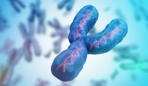Mutação no testículo pode extinguir homens da face da Terra; Entenda