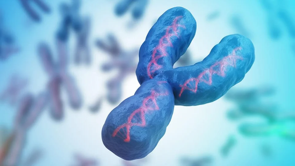 Mutação no testículo pode extinguir homens da face da Terra; Entenda