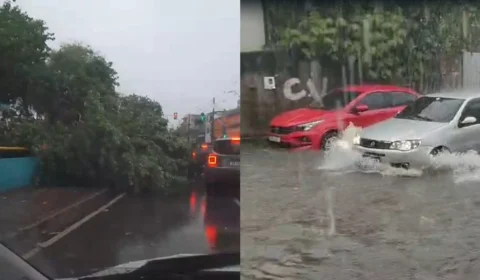 Forte chuva causa alagamentos e queda de árvores em Manaus