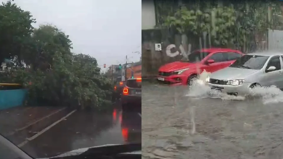 Forte chuva causa alagamentos e queda de árvores em Manaus