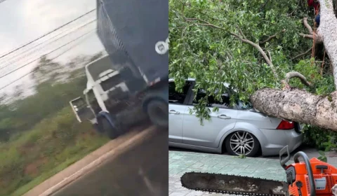 Forte chuva causa acidente e queda de árvore em Manaus