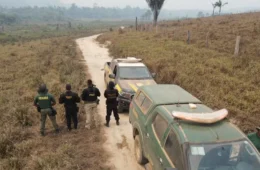 Suspeito de provocar queimadas em terras públicas na Amazônia é preso pela PF