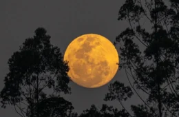 ‘Lua cheia do veado’ poderá ser vista nesta quinta em todo o Brasil; veja horário