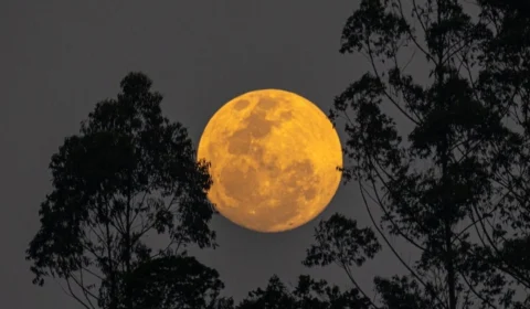‘Lua cheia do veado’ poderá ser vista nesta quinta em todo o Brasil; veja horário