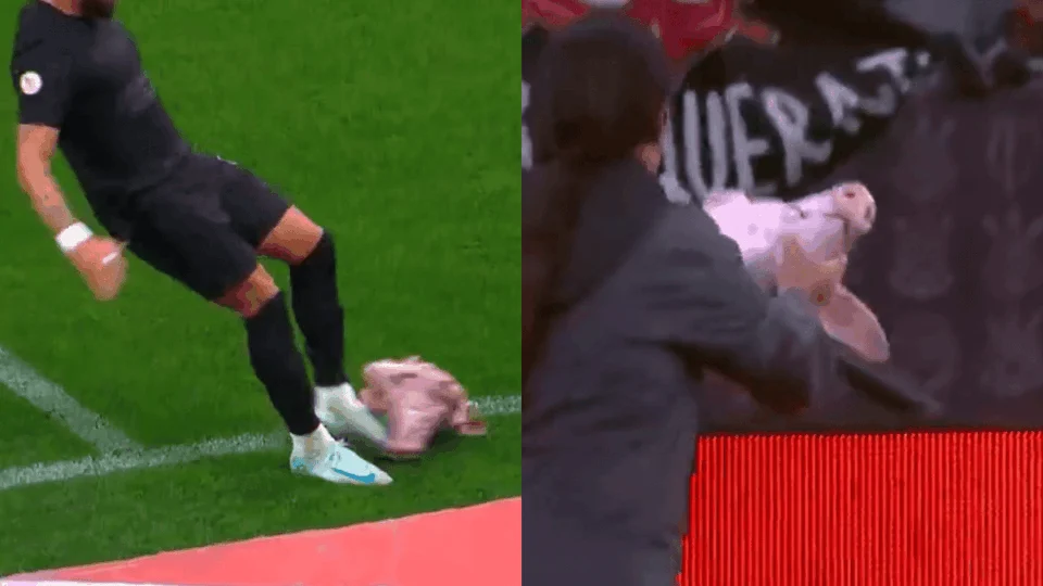 Cabeça de porco é jogada durante o jogo do Corinthians e Palmeiras