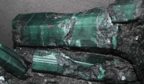 Brasil recupera ‘Esmeralda Bahia’ levada ilegalmente para os EUA