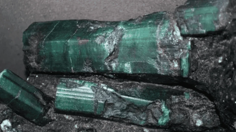 Brasil recupera ‘Esmeralda Bahia’ levada ilegalmente para os EUA