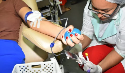 Dia Nacional do Doador de Sangue: SES-TO anuncia atividades especiais