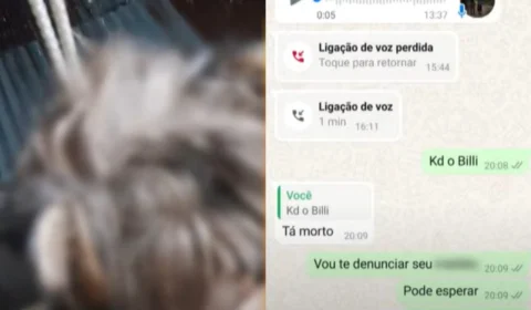 Homem mata cachorro por ciúmes da ex-mulher no Amazonas