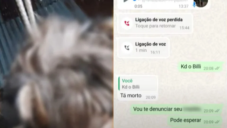 Homem mata cachorro por ciúmes da ex-mulher no Amazonas