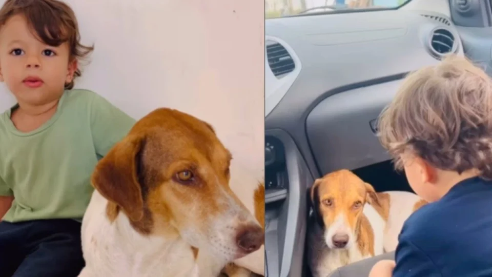 VÍDEO: Menino de 3 anos consola cadela antes de vacina e momento encanta a web