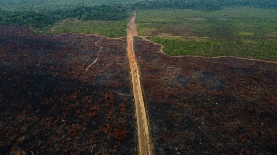 BR-319 e 174: ministro anuncia asfaltamento e combate ao desmatamento