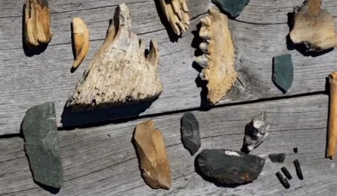 Cientistas descobrem espécie humana de ‘gigantes’, extinta há 200 mil anos