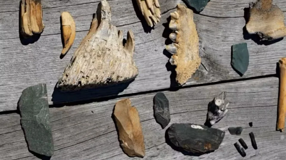 Cientistas descobrem espécie humana de ‘gigantes’, extinta há 200 mil anos