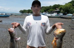 Peixes do rio Madeira estão altamente contaminados por mercúrio, aponta estudo