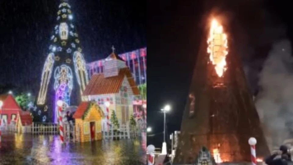 VÍDEO: Incêndio atinge árvore de Natal em frente ao Palácio Rio Branco; confira