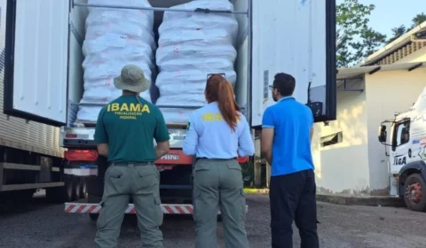 Ibama apreende 10 toneladas de pirarucu durante operação no Acre