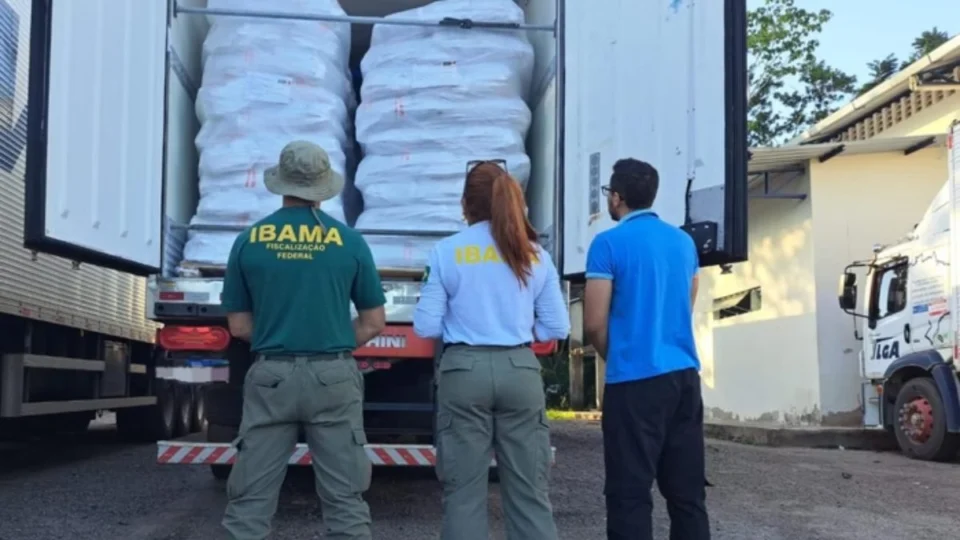 Ibama apreende 10 toneladas de pirarucu durante operação no Acre