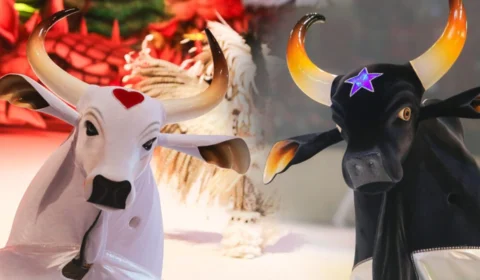 Festival de Parintins 2025: MPAM pede suspensão da venda de ingressos por irregularidades