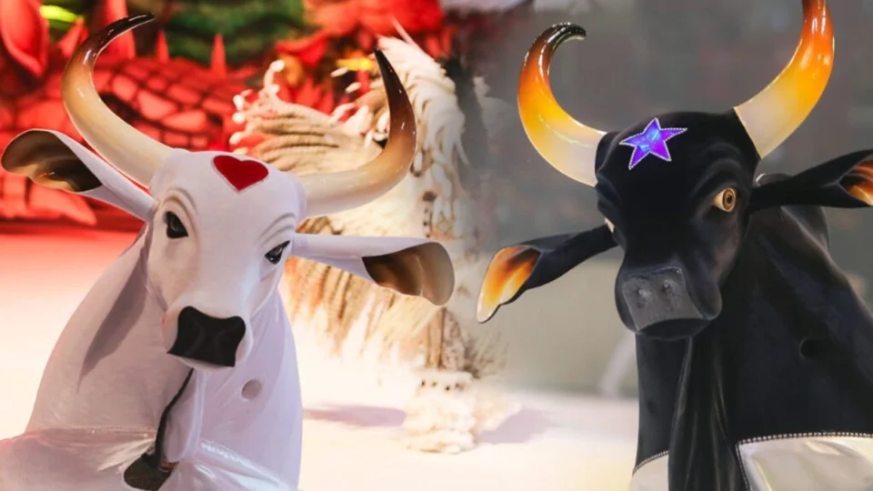 Festival de Parintins 2025: MPAM pede suspensão da venda de ingressos por irregularidades