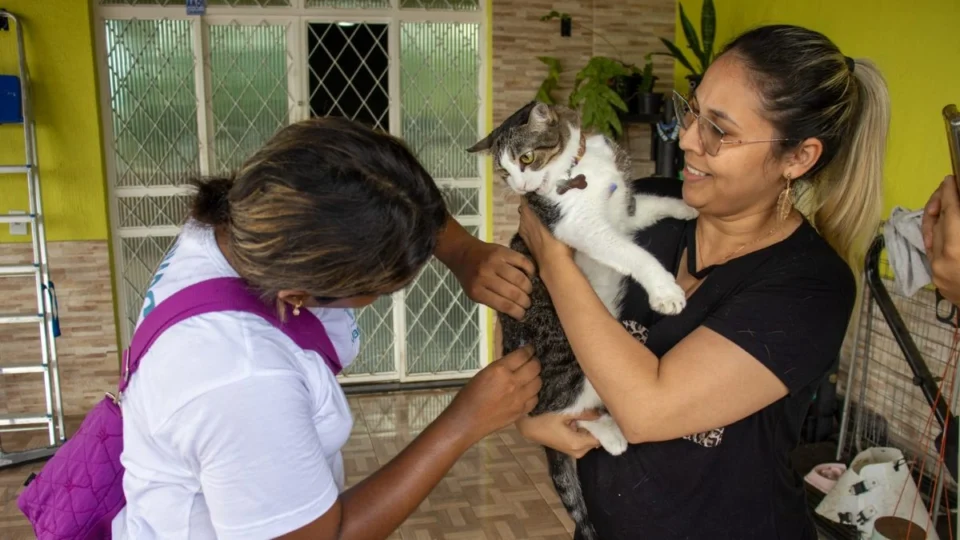Vacinação gratuita contra a raiva para cães e gatos inicia em supermercados de Manaus
