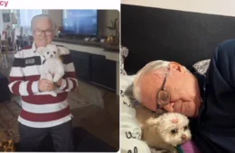 Cadela e avô encantam internet com amizade cheia de carinho: “Neta favorita”