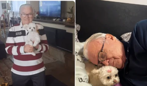 Cadela e avô encantam internet com amizade cheia de carinho: “Neta favorita”