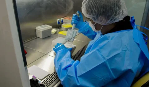 Brasil pode controlar o câncer de colo de útero em 20 anos