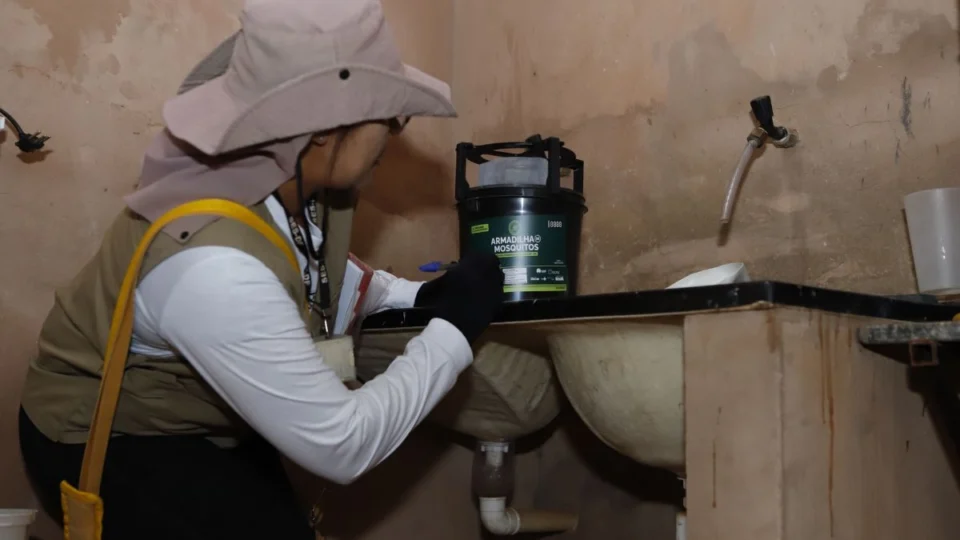 DF intensifica combate à dengue com novas armadilhas