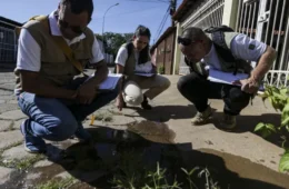 Dia D contra a dengue: ações acontecem em todo o país