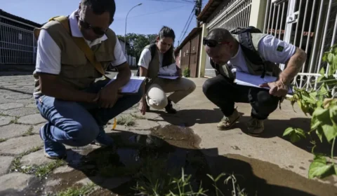 Dia D contra a dengue: ações acontecem em todo o país