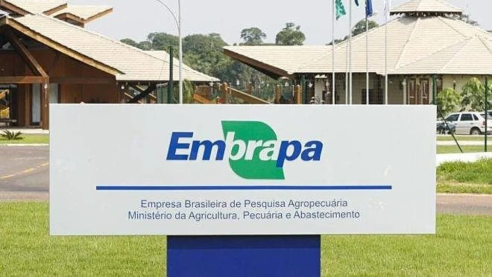 Edital aberto: concurso da Embrapa oferece 1.027 vagas