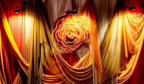 Exposição ‘Mapa Afetivo de Palmas’ está aberta no Museu Casa Suçuapara