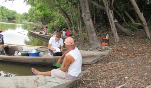 Pesquisadores do Reino Unido estudam sobre plantas no Amazonas