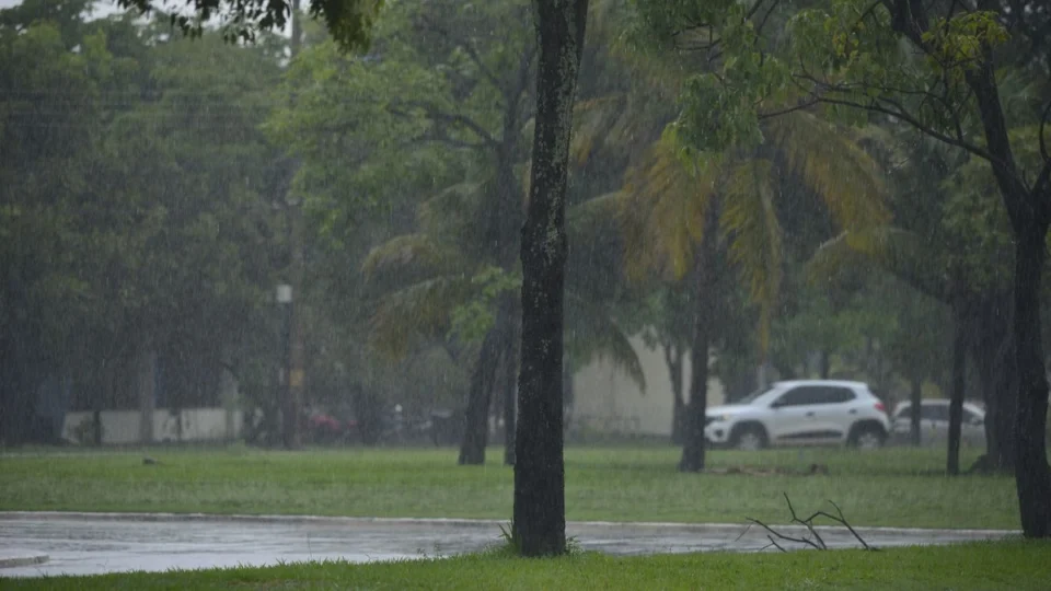 Saiba os principais cuidados para o período de chuvas em Palmas