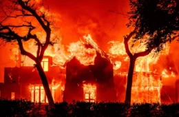 Incêndios em Los Angeles: mortes, evacuação e destruição aterrorizam a cidade; veja