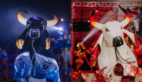 Bois do Duelo da Fronteira disputam na Justiça o direito de usar nomes originais