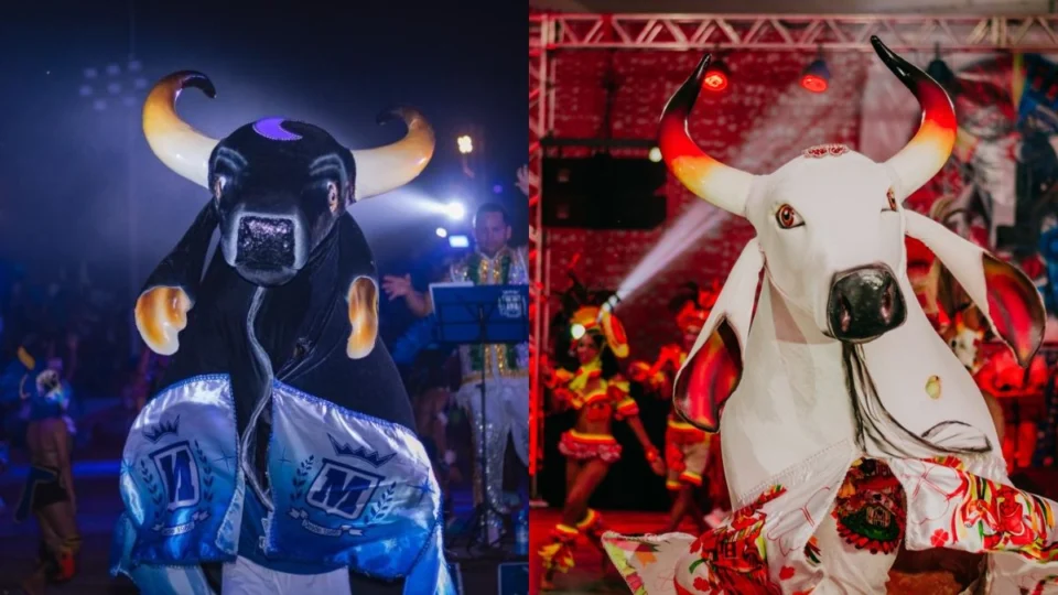 Bois do Duelo da Fronteira disputam na Justiça o direito de usar nomes originais