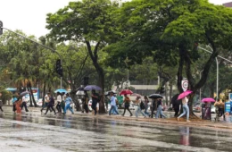 Rio Branco terá dia de chuva nesta segunda (6); confira a previsão do tempo