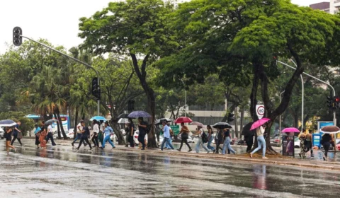 Rio Branco terá dia de chuva nesta segunda (6); confira a previsão do tempo
