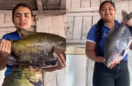 É de rio ou de viveiro? Influenciadora viraliza ao explicar diferença entre tambaquis; veja vídeo